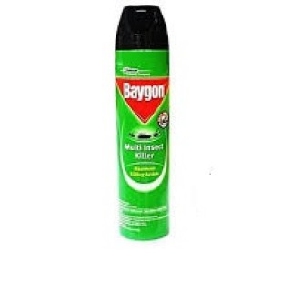 Baygon Insecticide 300ml